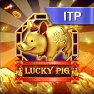 Lucky Pig